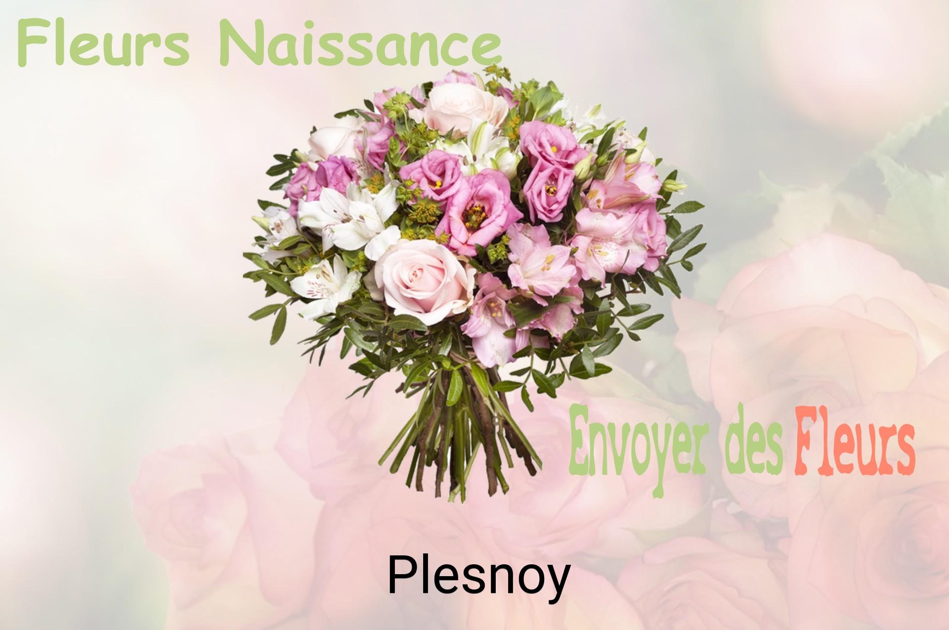 Bouquet de fleurs de naissance livré à Plesnoy